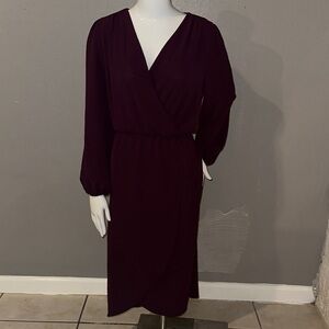 Connected Apparel Plum Long Sleeve Dress